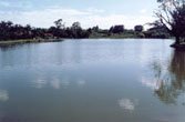 cidade_flores.jpg (4454 bytes)