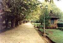 Desde 1924: Agencia Brasileira de Noticias - Brazilian News Agency [Since 1924] - Foto: ABN News/J.H. de Oliveira Junior