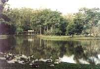 Desde 1924: Agencia Brasileira de Noticias - Brazilian News Agency [Since 1924] - Foto: ABN News/J.H. de Oliveira Junior