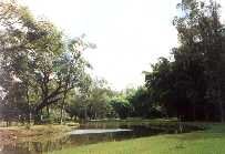 Caxambu - Minas Gerais - Foto: ABN News/J.H. de Oliveira Junior - Desde 1924: Agencia Brasileira de Noticias - Brazilian News Agency [Since 1924]