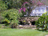 pracax.gif (31523 bytes)