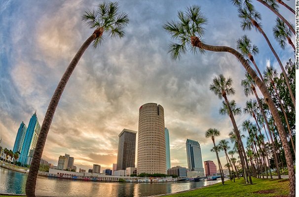 Palms Garole - Tampa Bay